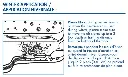75001_4OutletPondAerator_WinterApplication-820x494 (1).webp