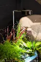 78332 aquagarden-plant-light.webp