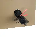 51002355.webp