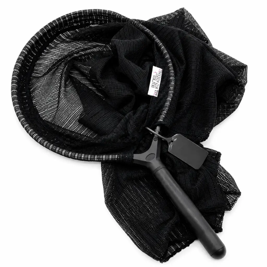 ChatGPT Image Jun 23, 2026, 11_33_09 AM.webp
