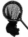 ChatGPT Image Jun 23, 2026, 11_34_43 AM.webp