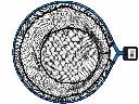 KKNET503SIDE.webp