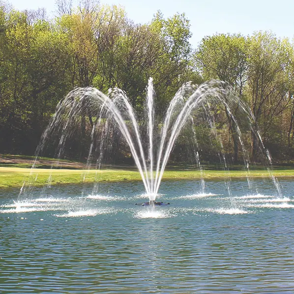 Product-Image-Fountains-Palm.webp