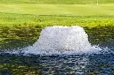 DSC0045-2-1320x878.webp