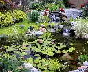 image_1920