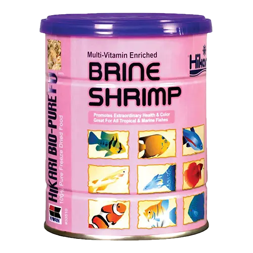 FD BRINE SHRIMP 1.76 OZ
