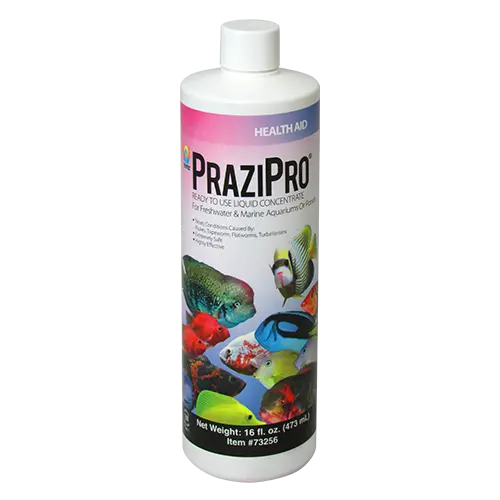 PRAZIPRO® Parasite Treatment 16 Oz