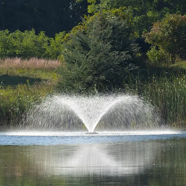 Kasco 5.3 VX Fountain, 5HP, 240V, 3PH w/ 6' Stub Cord, male half of Quick Disconnect ONLY