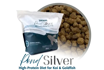 Zeigler Pond Silver – 5 lb.