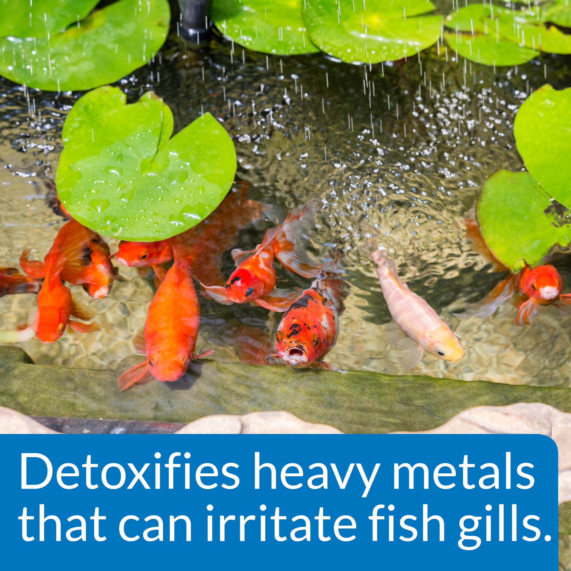 API POND CHLORINE & HEAVY METAL NEUTRALIZER Pond Water Neutralizer 16