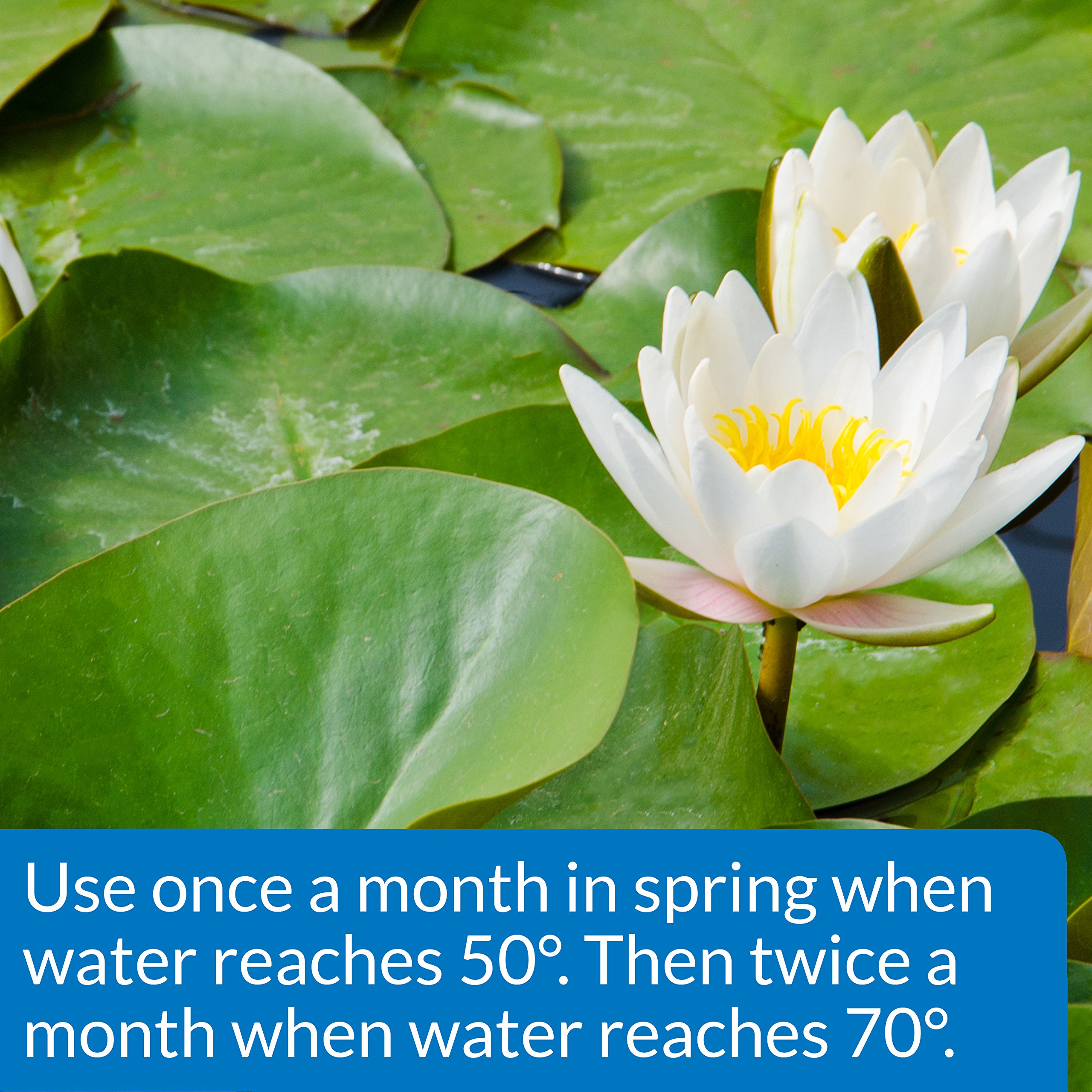 API PONDCARE AQUATIC PLANT FOOD TABLETS Potted Plant Fertilizer 3.8